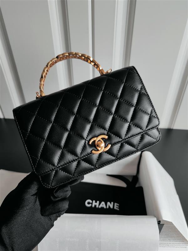 2026127205144176 600